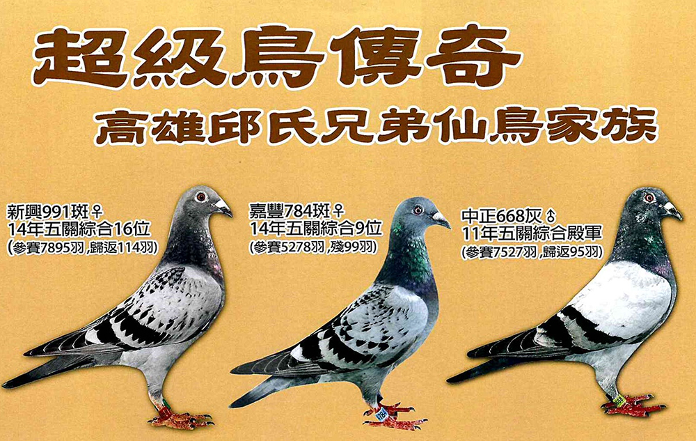 超級鳥家族