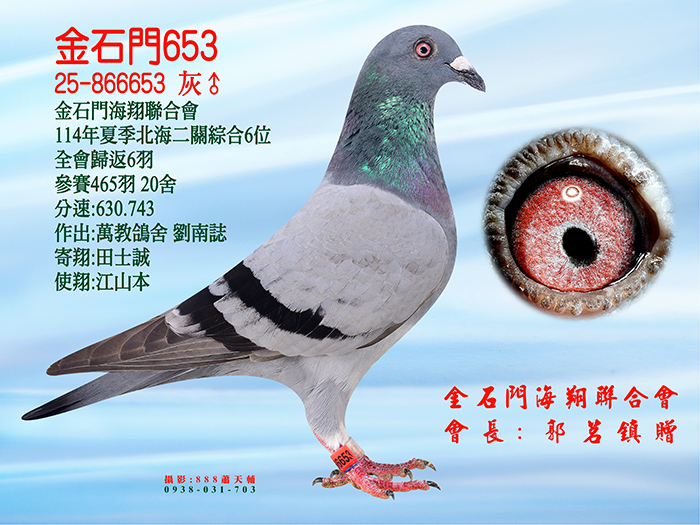 20261008【定價鴿】劉南誌秘包系：五關綜合優勝子代《※冬季北海未賽鴿，因北部參賽鴿會隻數未到達取消比賽》(速洽LINE或客服專線)